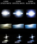 OEM Xenon HID Bulb